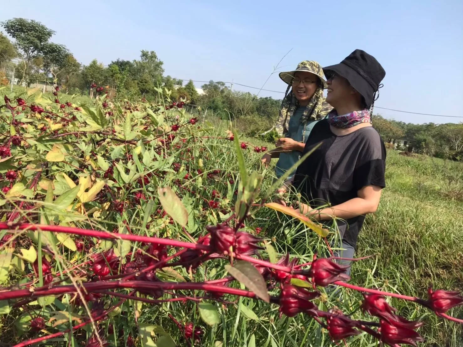 食農交流、藝術生活、人文關懷