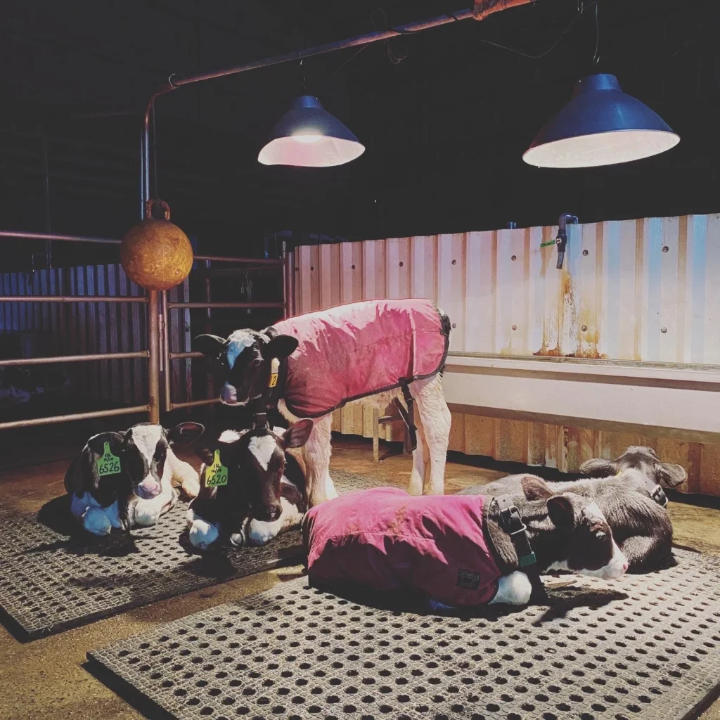 嚴格法規與高標準要求