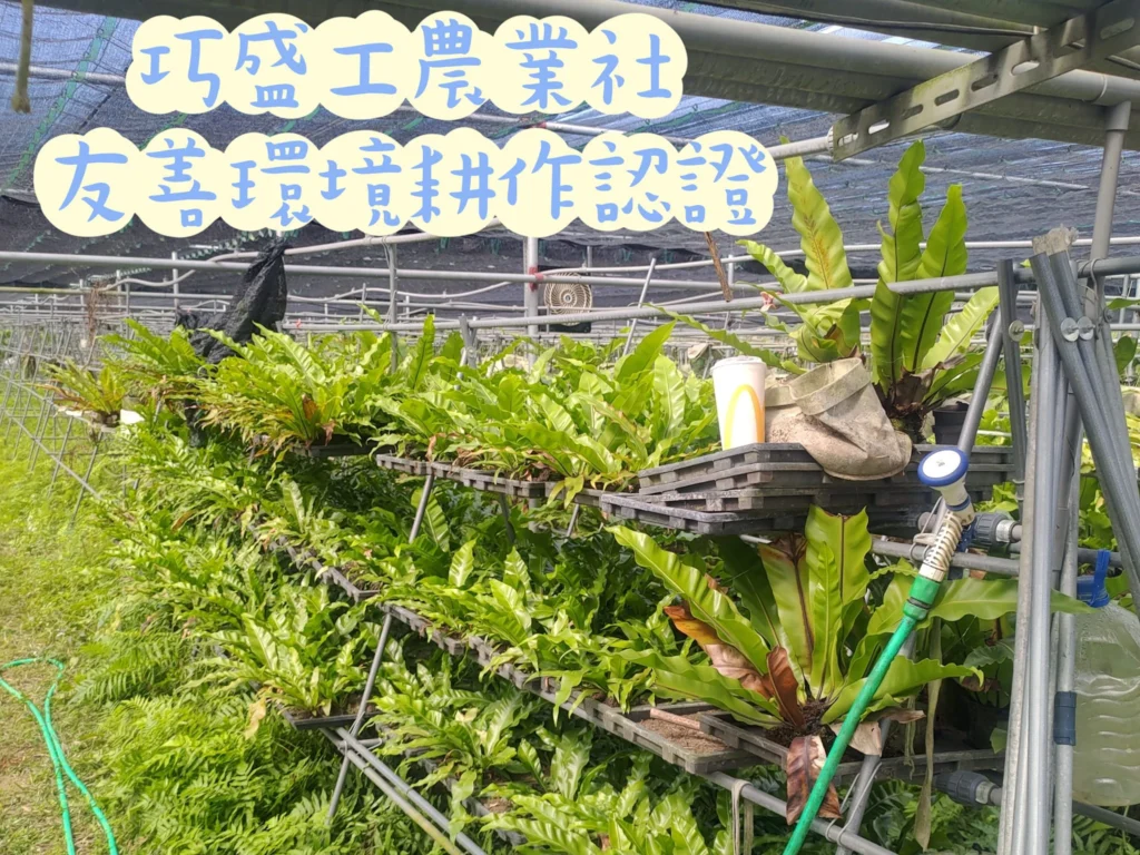 友善環境耕作認證