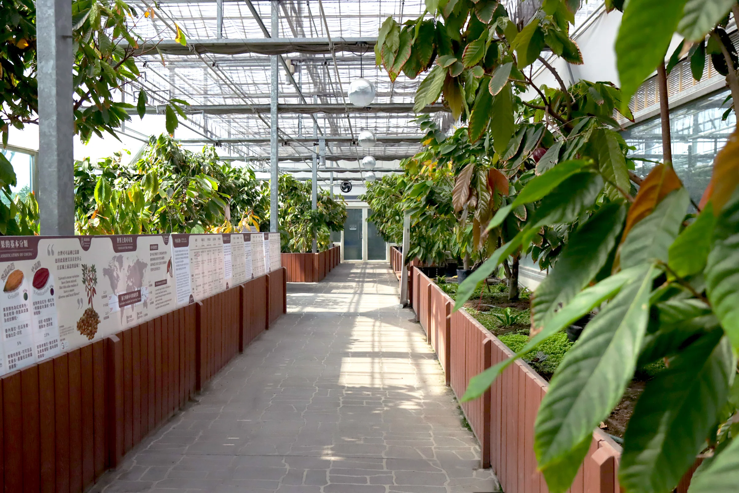 溫室-可可種植區